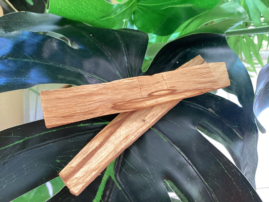 Bâton de Palo santo